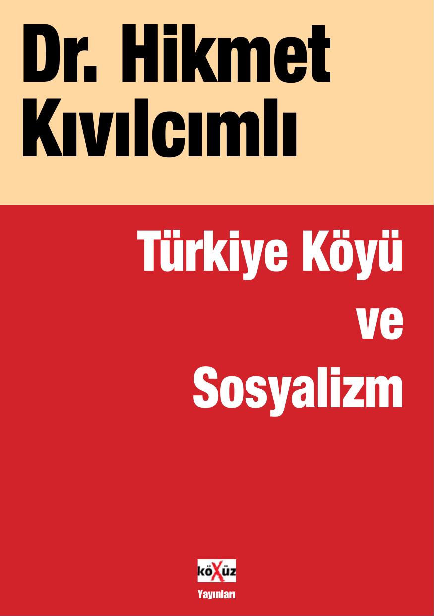 Türkiye Köyü ve Sosyalizm kitap kapağı