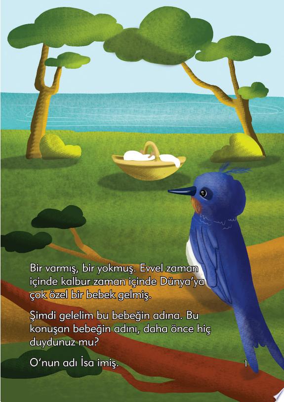 Ruya Kusu Serisi-2 - Konusan Bebek Hz Isa kitap kapağı