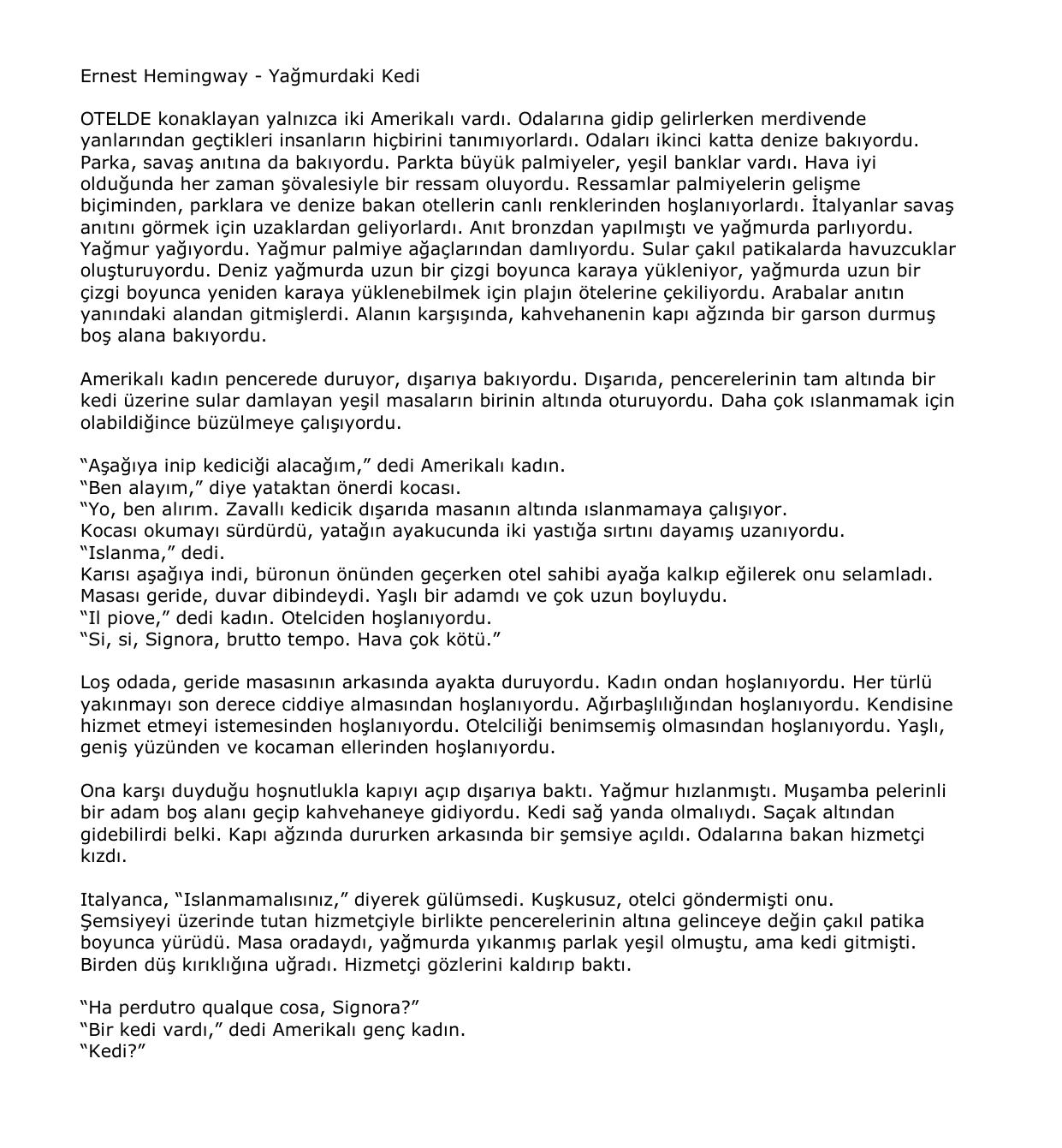 Yagmurdaki Kedi kitap kapağı