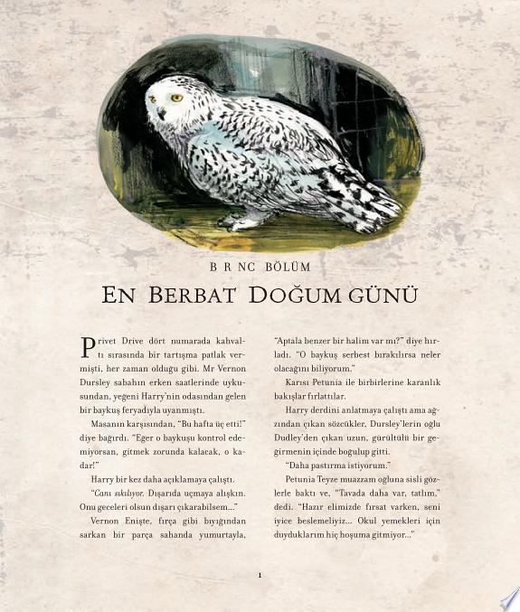 Harry Potter ve Sirlar Odasi-2