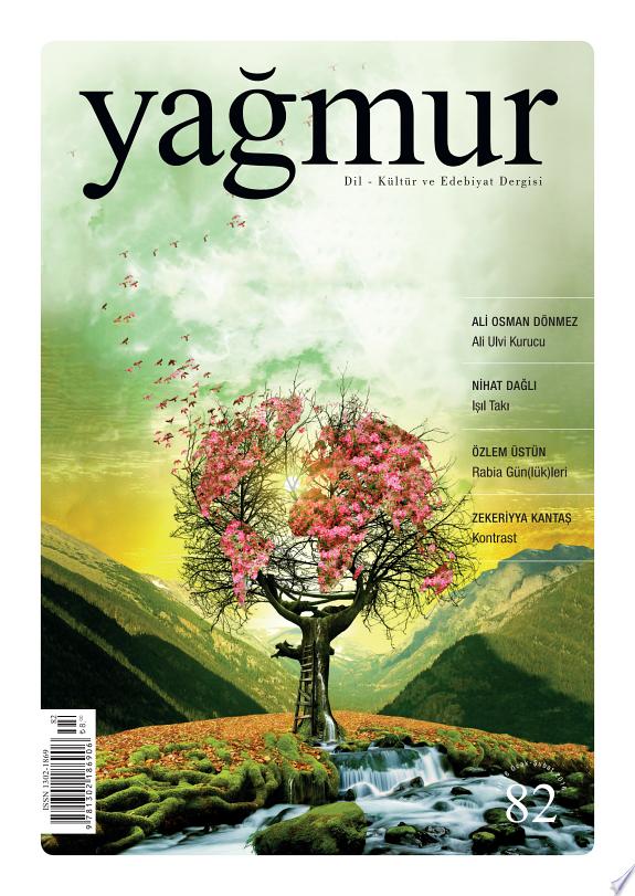 Ustad Bediüzzaman Dergisi 2007 kitap kapağı