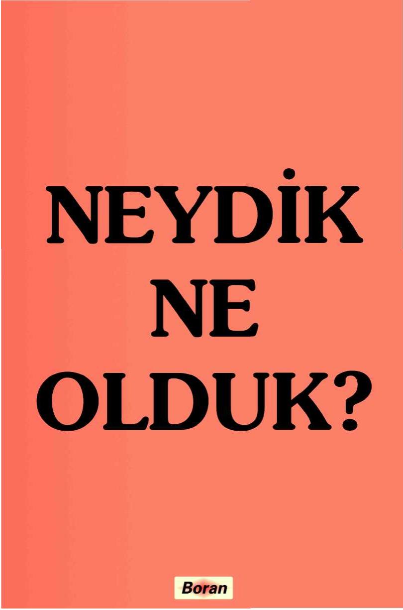 Microsoft Word - NeydikNeOlduk.doc kitap kapağı