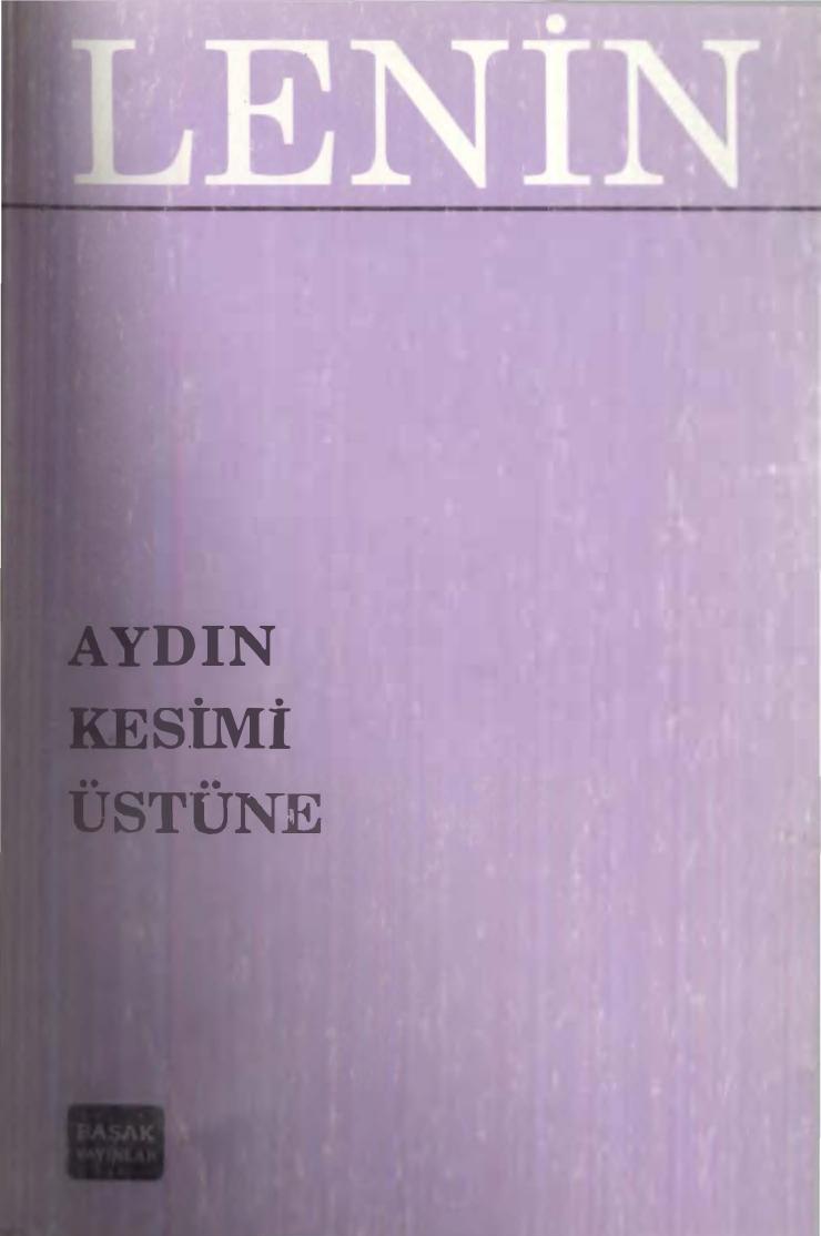 Aydın Kesimi Üzerine