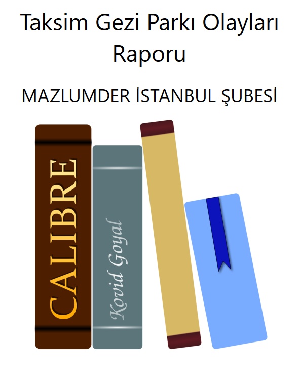 Taksim Gezi Parkı Olayları Raporu