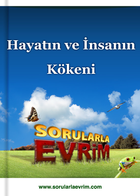Sorularla Evrim - Hayatın ve İnsanın Kökeni