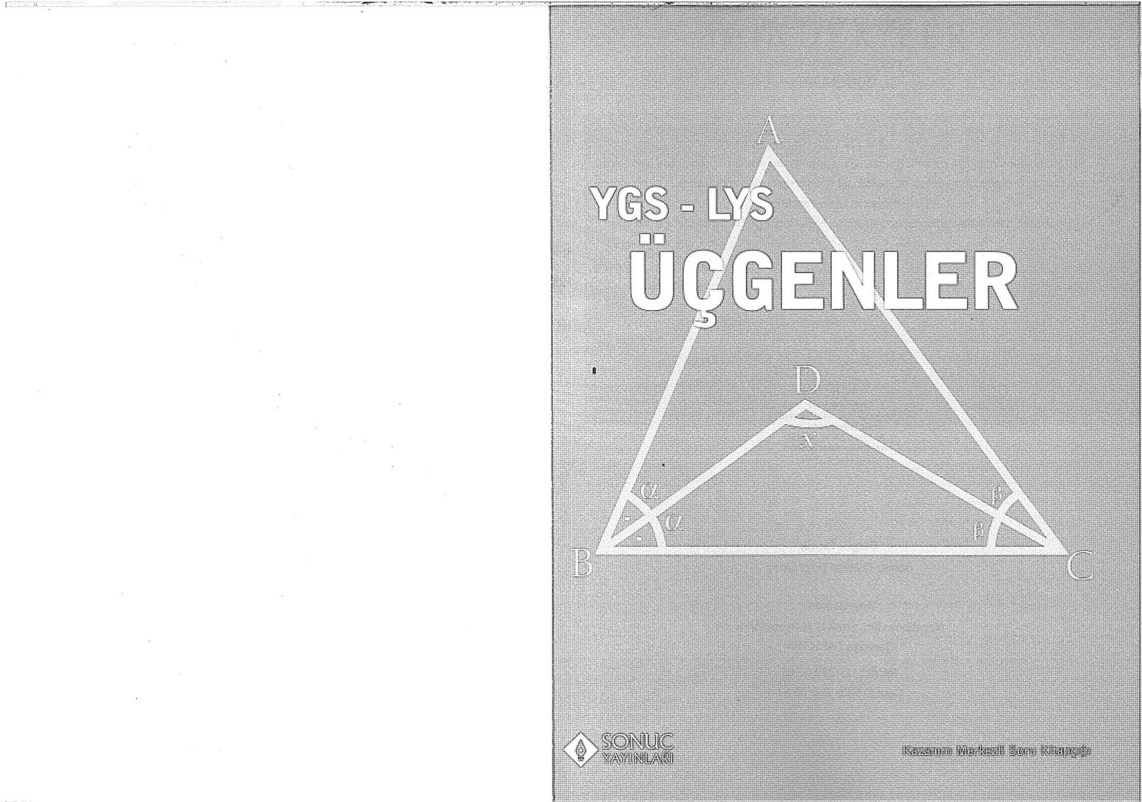 Sonuç Yayınları kitap kapağı